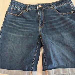 Time and Tru Dark Blue Denim Shorts